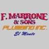 Frank Marrone & Sons Plumbing