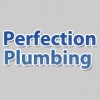 Perfection Plumbing Services