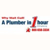 A Plumber In An Hour