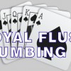 Royal Flush Plumbing