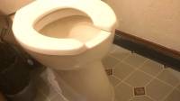 Toilet Problems: Running, Clogged, Leaking