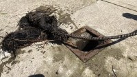 Drain Cleaning