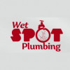 Wet Spot Plumbing